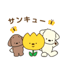 ふらふぃーとチャビィの日常スタンプ（春）（個別スタンプ：3）