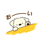 ふらふぃーとチャビィの日常スタンプ（春）（個別スタンプ：6）