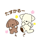 ふらふぃーとチャビィの日常スタンプ（春）（個別スタンプ：11）