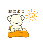 ふらふぃーとチャビィの日常スタンプ（春）（個別スタンプ：13）