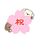 ふらふぃーとチャビィの日常スタンプ（春）（個別スタンプ：17）