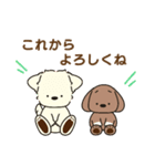 ふらふぃーとチャビィの日常スタンプ（春）（個別スタンプ：21）