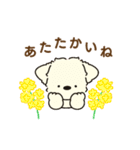 ふらふぃーとチャビィの日常スタンプ（春）（個別スタンプ：37）