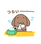 ふらふぃーとチャビィの日常スタンプ（春）（個別スタンプ：39）