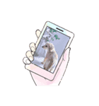 スプリングdog（個別スタンプ：1）