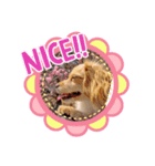 スプリングdog（個別スタンプ：3）