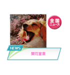 スプリングdog（個別スタンプ：4）