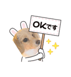 スプリングdog（個別スタンプ：6）