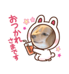 スプリングdog（個別スタンプ：7）