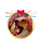 スプリングdog（個別スタンプ：8）