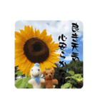 フィバナッチ＆リンカーン（個別スタンプ：4）