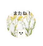 フィバナッチ＆リンカーン（個別スタンプ：13）