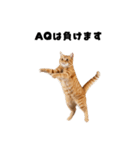 確率操作に怒る猫【ポーカーアプリ】（個別スタンプ：2）