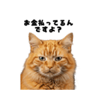 確率操作に怒る猫【ポーカーアプリ】（個別スタンプ：23）