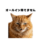 確率操作に怒る猫【ポーカーアプリ】（個別スタンプ：34）