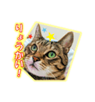 ぼちぼちくん（個別スタンプ：2）