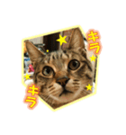 ぼちぼちくん（個別スタンプ：7）