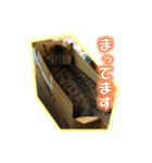 ぼちぼちくん（個別スタンプ：10）
