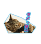 ぼちぼちくん（個別スタンプ：12）