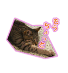 ぼちぼちくん（個別スタンプ：14）