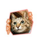 ぼちぼちくん（個別スタンプ：18）