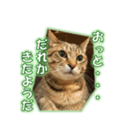 ぼちぼちくん（個別スタンプ：19）