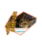 ぼちぼちくん（個別スタンプ：20）