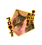ぼちぼちくん（個別スタンプ：30）