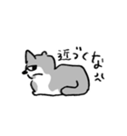 小さな小さなコアラちゃん（個別スタンプ：7）