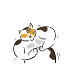 みけねこきなこ（個別スタンプ：1）