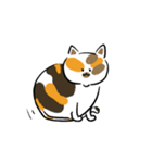 みけねこきなこ（個別スタンプ：2）
