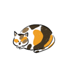 みけねこきなこ（個別スタンプ：3）