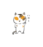 みけねこきなこ（個別スタンプ：5）