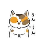 みけねこきなこ（個別スタンプ：9）