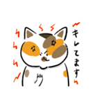 みけねこきなこ（個別スタンプ：12）