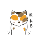 みけねこきなこ（個別スタンプ：16）