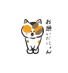 みけねこきなこ（個別スタンプ：19）
