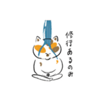 みけねこきなこ（個別スタンプ：25）