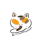 みけねこきなこ（個別スタンプ：29）