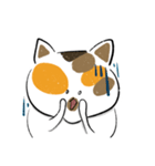 みけねこきなこ（個別スタンプ：31）