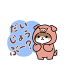 きぐまめのスタンプ⭐︎日常Ver.（個別スタンプ：14）