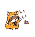 きぐまめのスタンプ⭐︎日常Ver.（個別スタンプ：15）