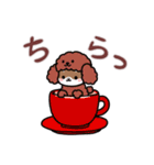 きぐまめのスタンプ⭐︎日常Ver.（個別スタンプ：18）