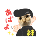 茶トラのまりもちゃんスタンプ（個別スタンプ：4）