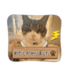 ミリンとラック時々ワンタン2（個別スタンプ：10）
