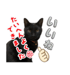 ミリンとラック時々ワンタン2（個別スタンプ：16）
