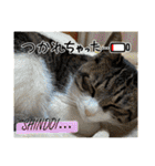 ミリンとラック時々ワンタン2（個別スタンプ：27）