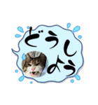 ミリンとラック時々ワンタン2（個別スタンプ：35）