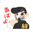 可愛いコーギーのはむちゃん（個別スタンプ：29）