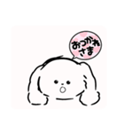 白いもふもふの子犬（個別スタンプ：24）